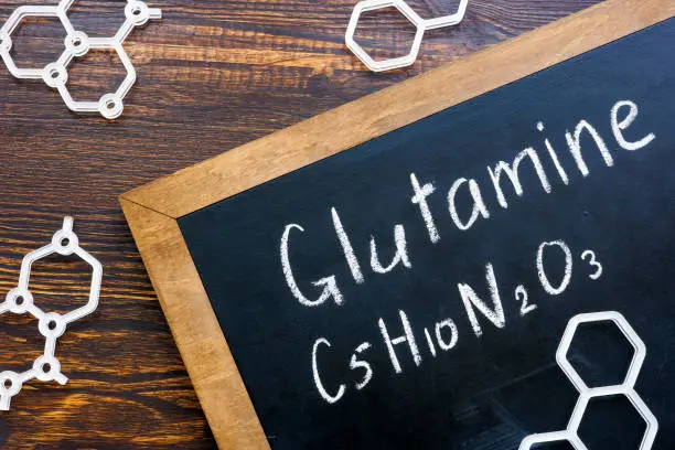 Guía sobre la L- Glutamina